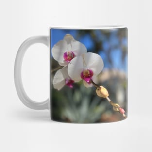 White Orchid Trio Pink Centers Mug